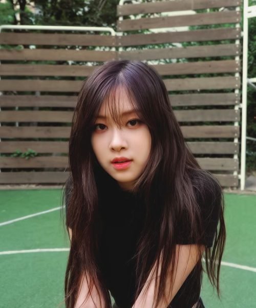 Rosé | Trainee Period